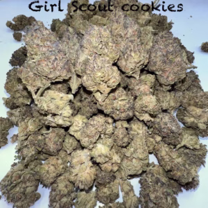 GSC