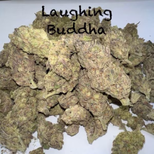 Laughing Buddha